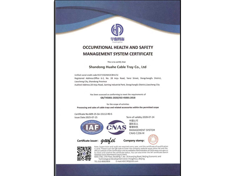 GB/T45001-2020/1S0 45001:2018